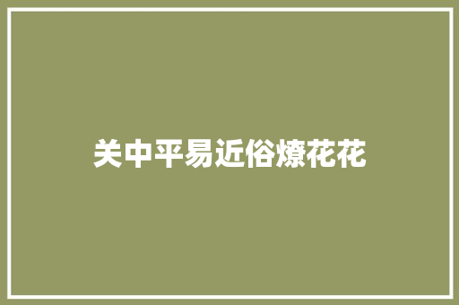 关中平易近俗燎花花