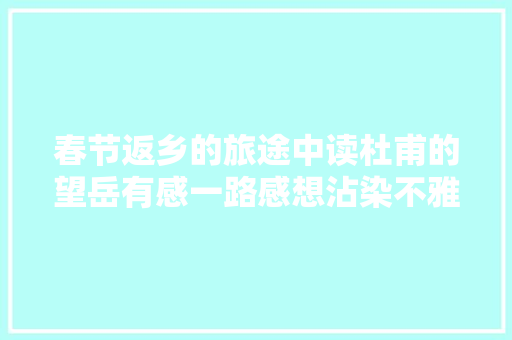 春节返乡的旅途中读杜甫的望岳有感一路感想沾染不雅光的意义