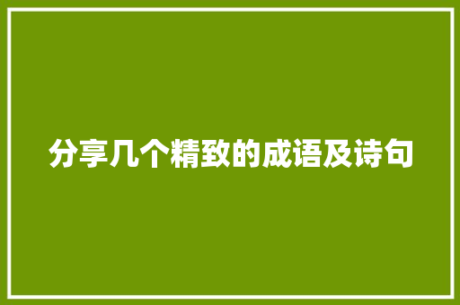 分享几个精致的成语及诗句