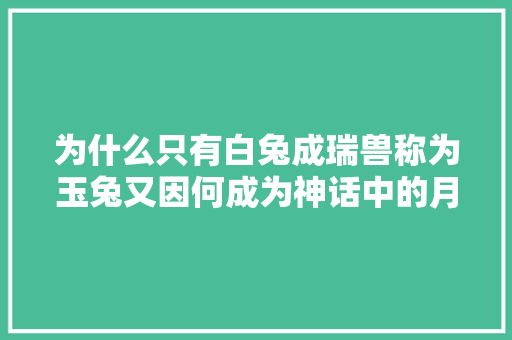 为什么只有白兔成瑞兽称为玉兔又因何成为神话中的月兔