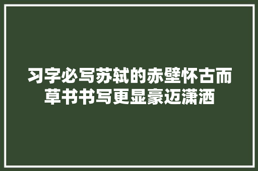 习字必写苏轼的赤壁怀古而草书书写更显豪迈潇洒