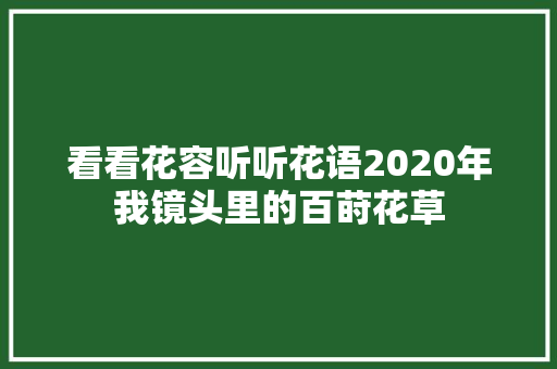 看看花容听听花语2020年我镜头里的百莳花草