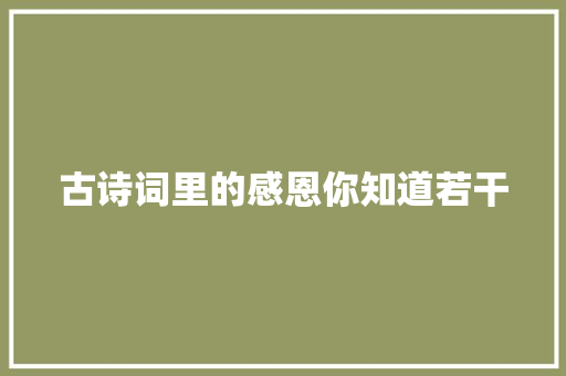 古诗词里的感恩你知道若干