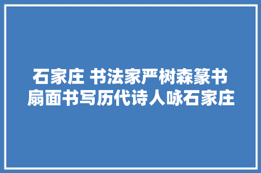 石家庄 书法家严树森篆书扇面书写历代诗人咏石家庄古诗十二首