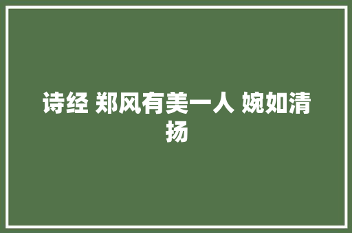 诗经 郑风有美一人 婉如清扬