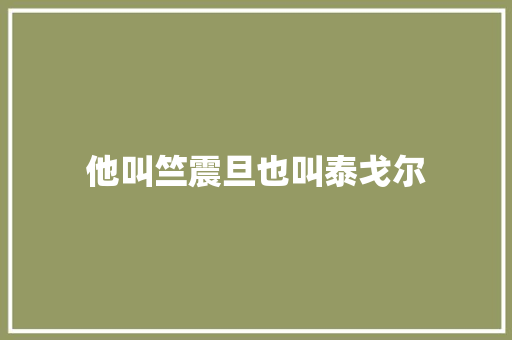 他叫竺震旦也叫泰戈尔