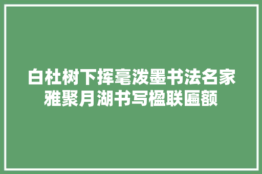 白杜树下挥毫泼墨书法名家雅聚月湖书写楹联匾额