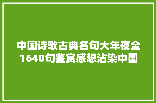 中国诗歌古典名句大年夜全1640句鉴赏感想沾染中国古典诗歌之美