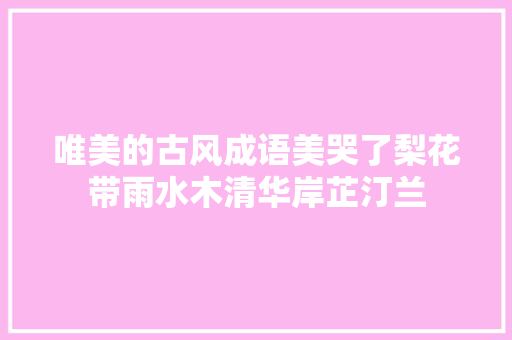 唯美的古风成语美哭了梨花带雨水木清华岸芷汀兰
