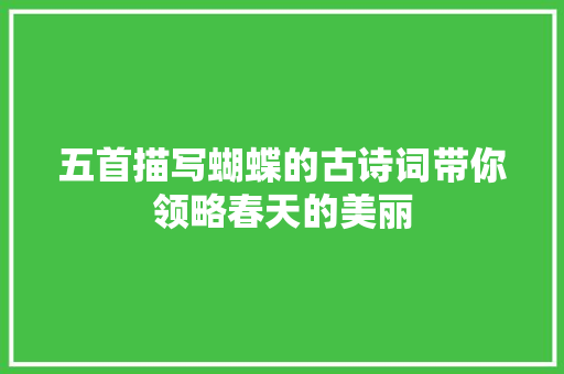五首描写蝴蝶的古诗词带你领略春天的美丽