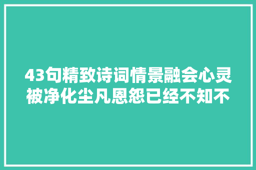 43句精致诗词情景融会心灵被净化尘凡恩怨已经不知不觉远去
