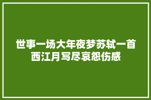 世事一场大年夜梦苏轼一首西江月写尽哀怨伤感