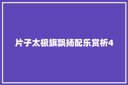 片子太极旗飘扬配乐赏析4