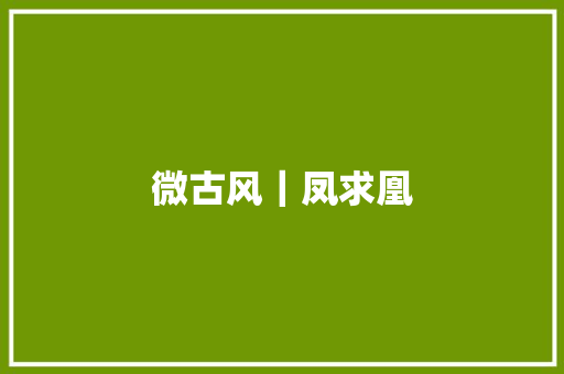 微古风｜凤求凰