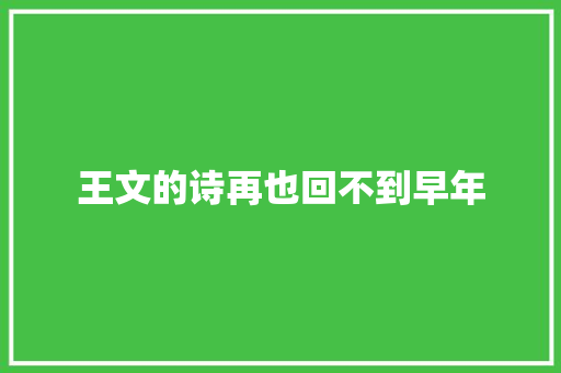 王文的诗再也回不到早年