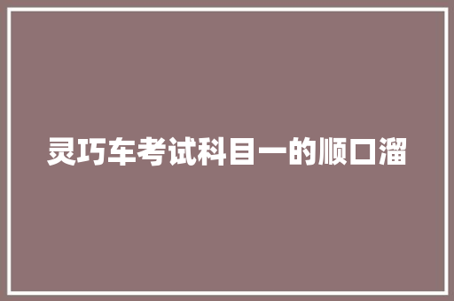 灵巧车考试科目一的顺口溜