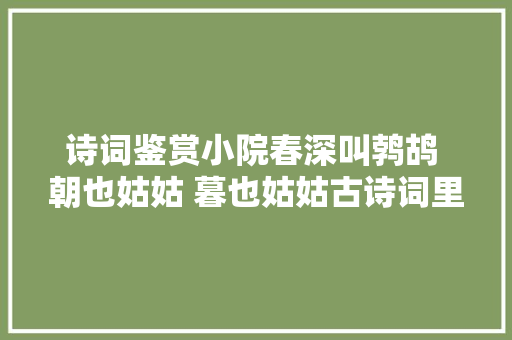 诗词鉴赏小院春深叫鹁鸪 朝也姑姑 暮也姑姑古诗词里的鹁鸪