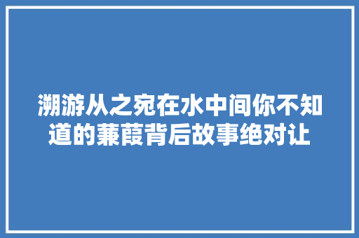 溯游从之宛在水中间你不知道的蒹葭背后故事绝对让