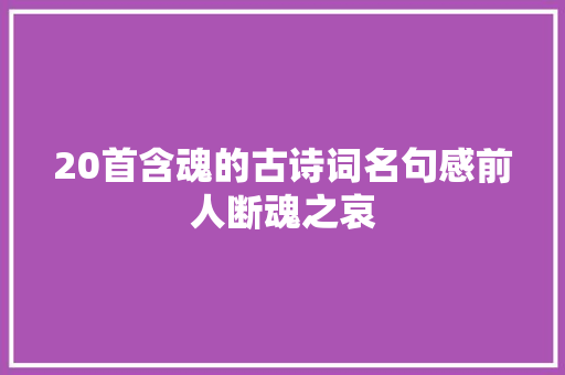 20首含魂的古诗词名句感前人断魂之哀