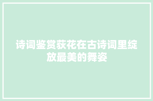 诗词鉴赏荻花在古诗词里绽放最美的舞姿