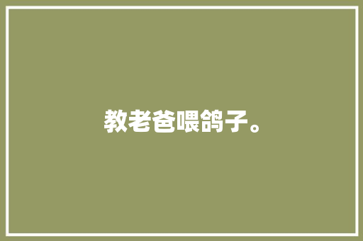 教老爸喂鸽子。