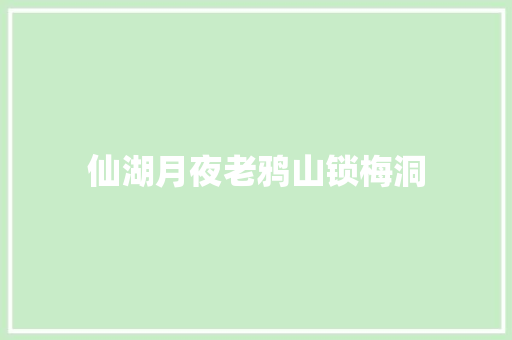 仙湖月夜老鸦山锁梅洞