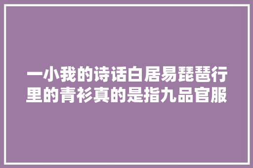 一小我的诗话白居易琵琶行里的青衫真的是指九品官服