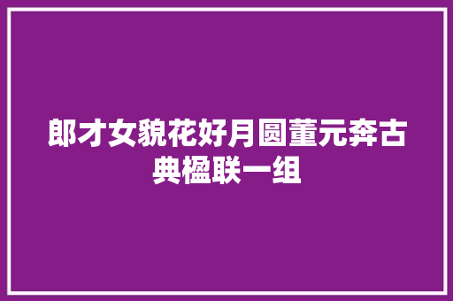 郎才女貌花好月圆董元奔古典楹联一组