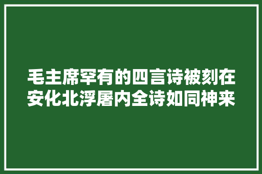 毛主席罕有的四言诗被刻在安化北浮屠内全诗如同神来之笔