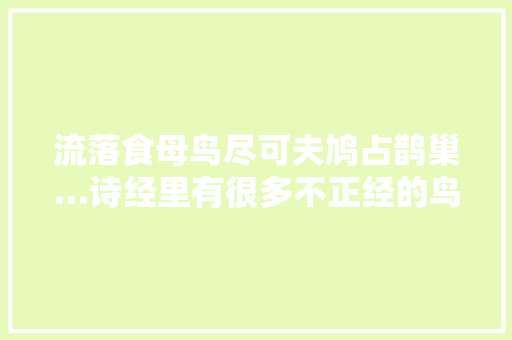 流落食母鸟尽可夫鸠占鹊巢…诗经里有很多不正经的鸟