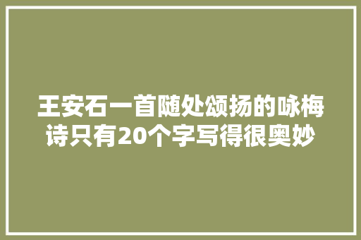 王安石一首随处颂扬的咏梅诗只有20个字写得很奥妙
