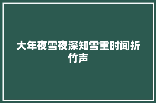 大年夜雪夜深知雪重时闻折竹声