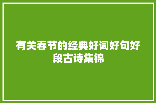 有关春节的经典好词好句好段古诗集锦