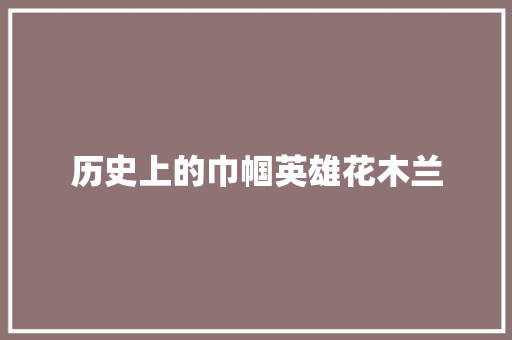 历史上的巾帼英雄花木兰