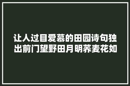 让人过目爱慕的田园诗句独出前门望野田月明荞麦花如雪