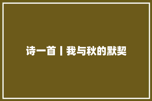 诗一首丨我与秋的默契