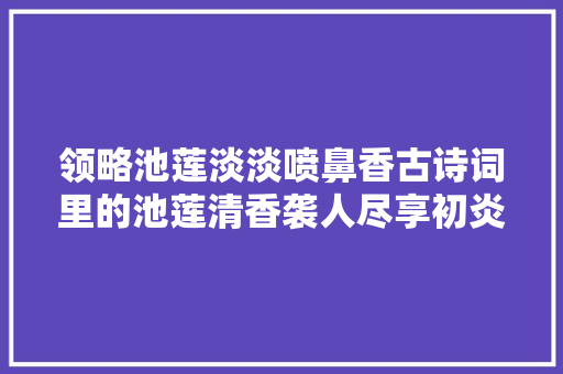 领略池莲淡淡喷鼻香古诗词里的池莲清香袭人尽享初炎天然之趣