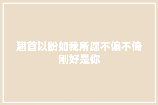 翘首以盼如我所愿不偏不倚刚好是你