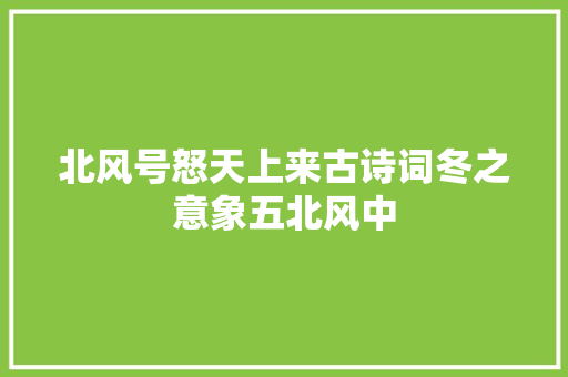 北风号怒天上来古诗词冬之意象五北风中