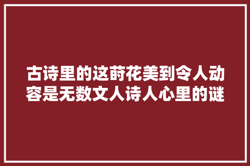 古诗里的这莳花美到令人动容是无数文人诗人心里的谜底
