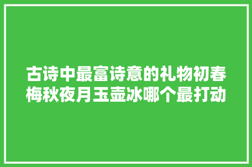 古诗中最富诗意的礼物初春梅秋夜月玉壶冰哪个最打动你