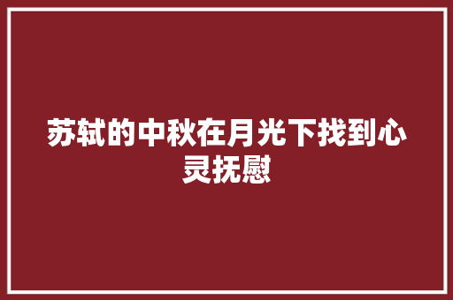苏轼的中秋在月光下找到心灵抚慰