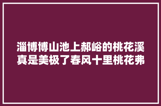 淄博博山池上郝峪的桃花溪真是美极了春风十里桃花弗成错过