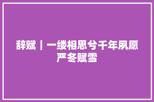 辞赋｜一缕相思兮千年夙愿严冬赋雪
