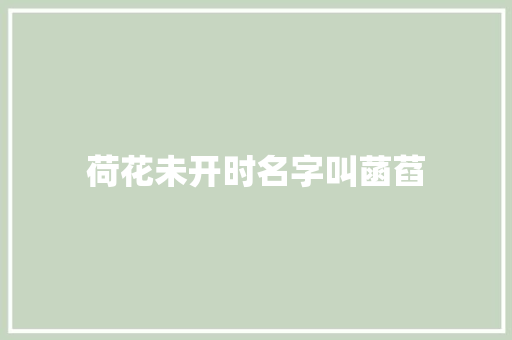 荷花未开时名字叫菡萏