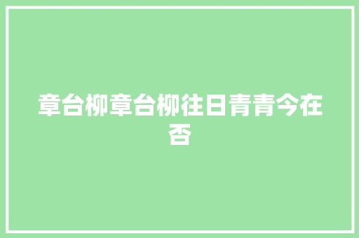 章台柳章台柳往日青青今在否