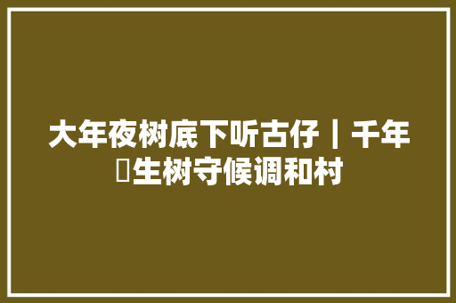 大年夜树底下听古仔｜千年孖生树守候调和村