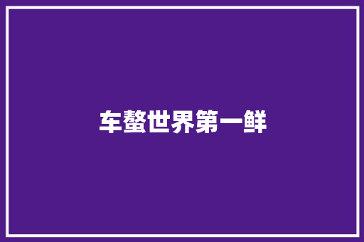 车螯世界第一鲜