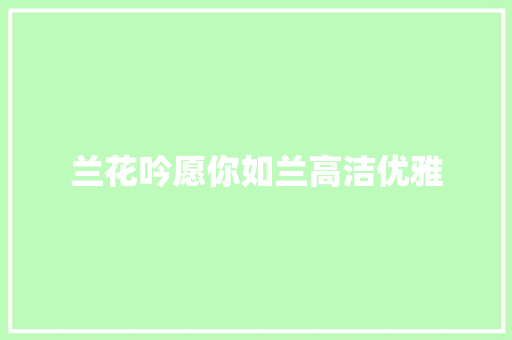 兰花吟愿你如兰高洁优雅