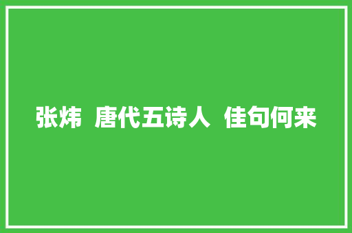 张炜  唐代五诗人  佳句何来